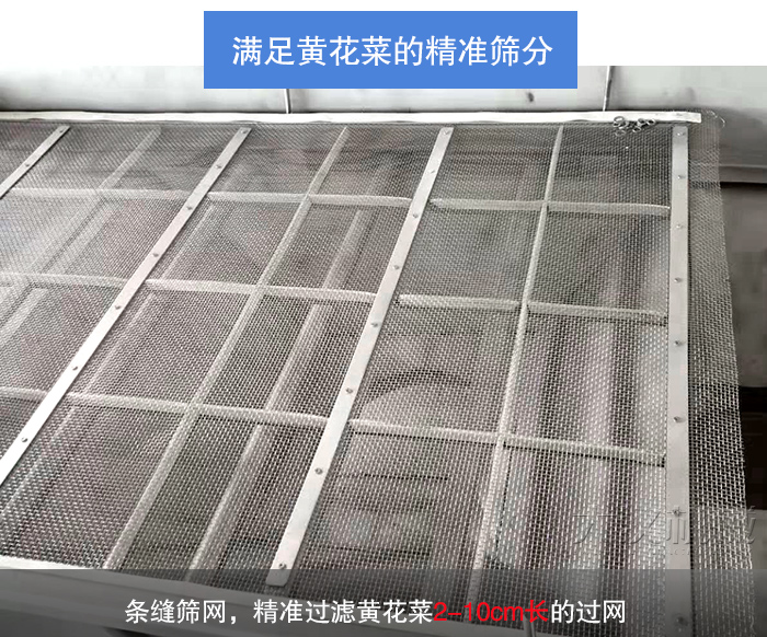 PP电子(中国)官方网站